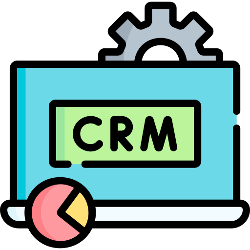 CRM Executive